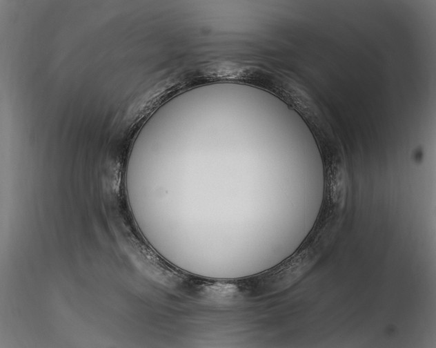 X0000116330374200912151310