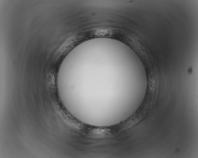 X0000116330375200912151310