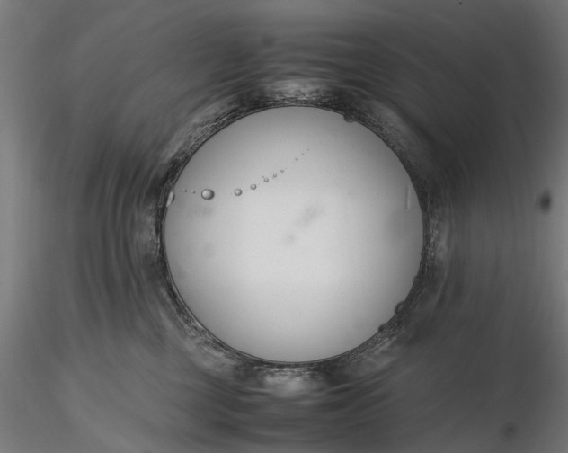 X0000116330377200912151311