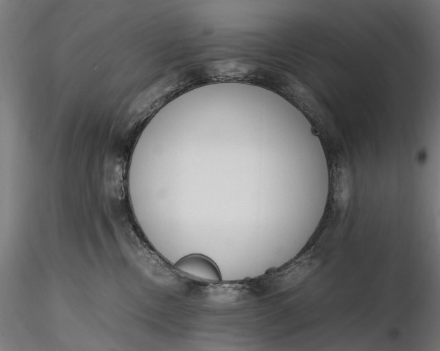 X0000116330378200912151311