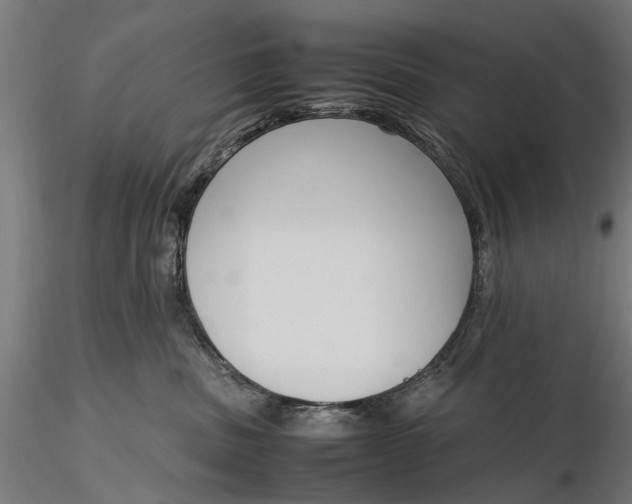 X0000116330379200912151311