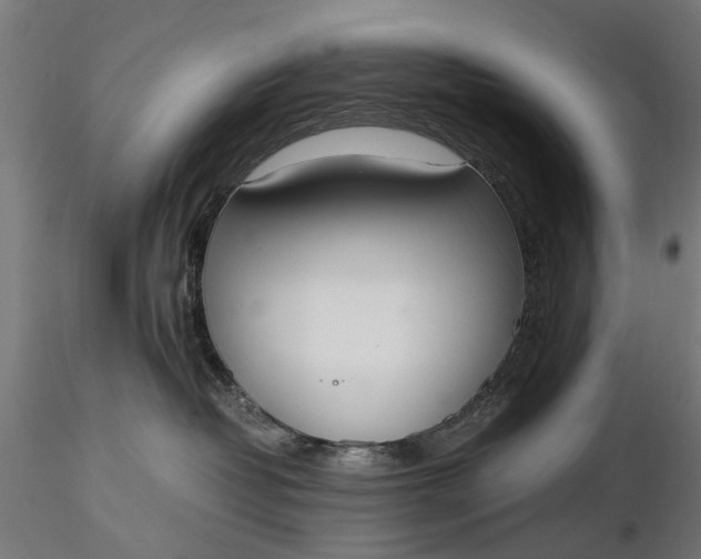 X0000116330382200912151311