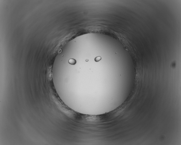 X0000116330383200912151311