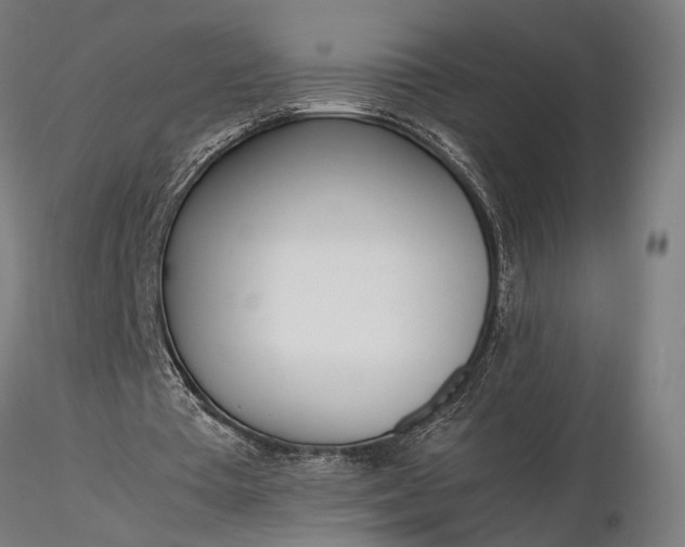 X0000116330385200912151310