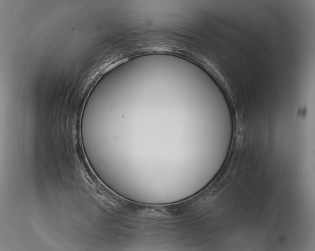 X0000116330386200912151310