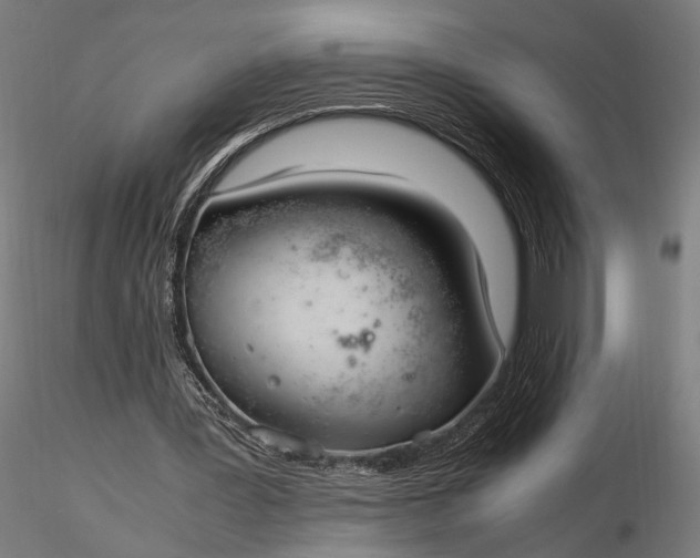 X0000116330387200912151310