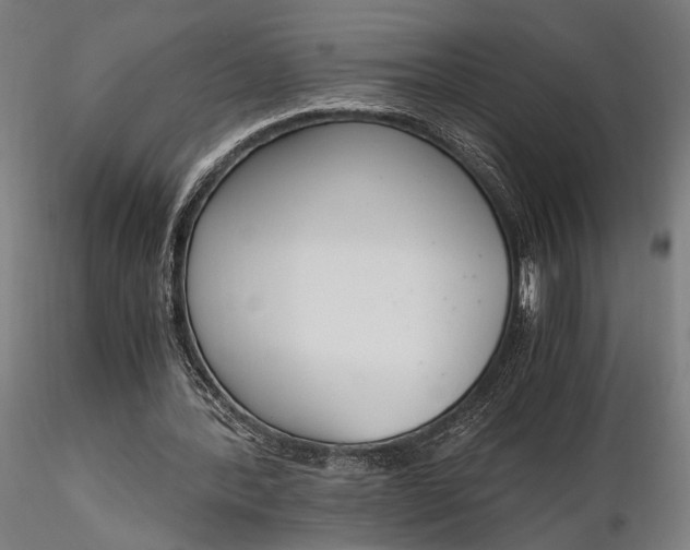 X0000116330388200912151310