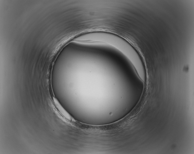 X0000116330389200912151310