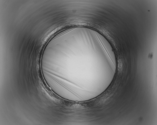 X0000116330390200912151310