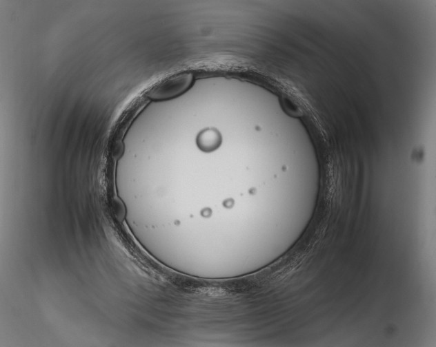 X0000116330392200912151310