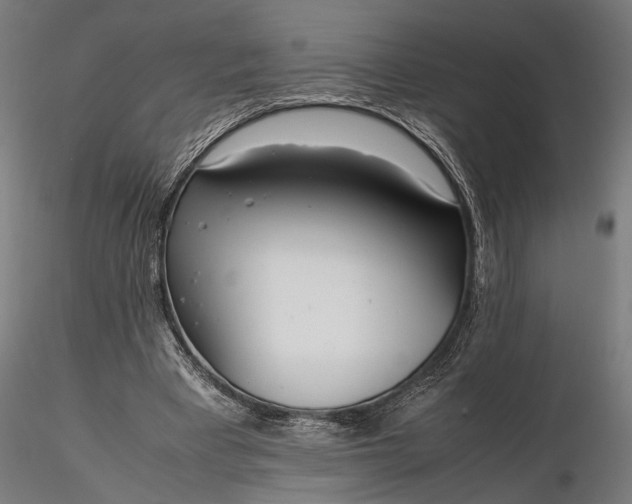 X0000116330393200912151310