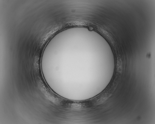 X0000116330394200912151310