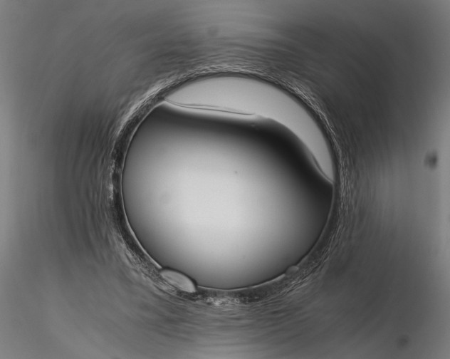 X0000116330395200912151310