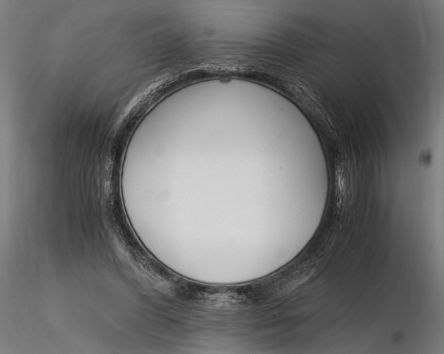 X0000116330396200912151310