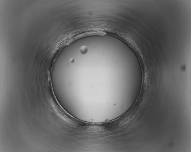 X0000116330397200912151310