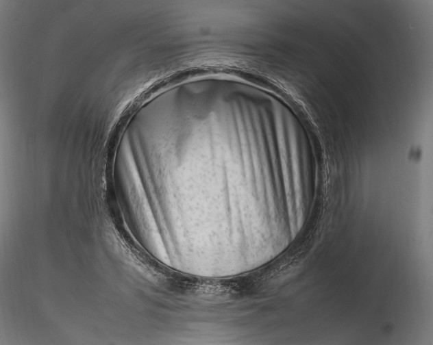 X0000116330399200912151310