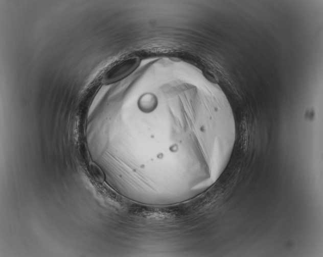 X0000116330400200912151310