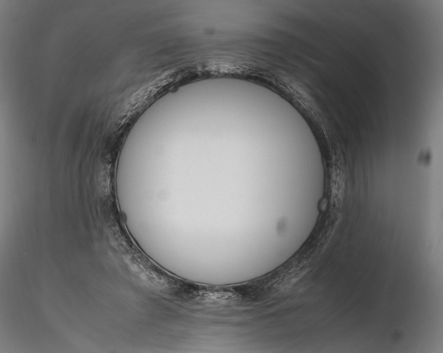 X0000116330401200912151310