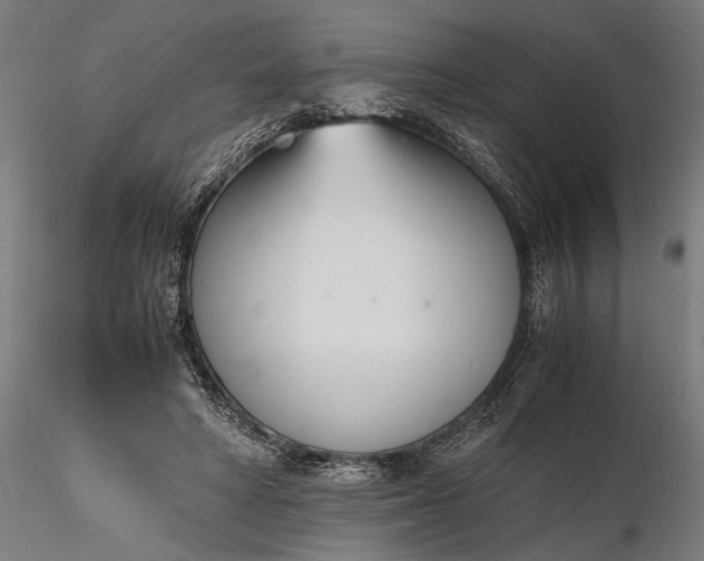 X0000116330402200912151310