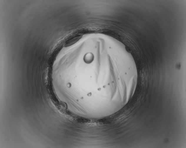 X0000116330404200912151310