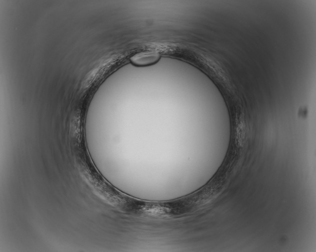 X0000116330407200912151310