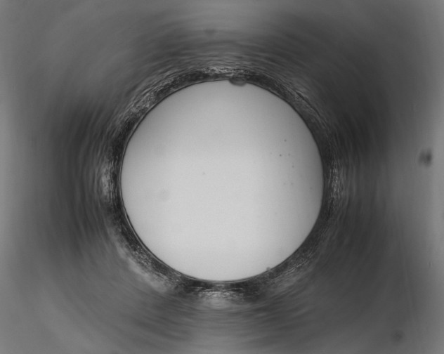 X0000116330408200912151310