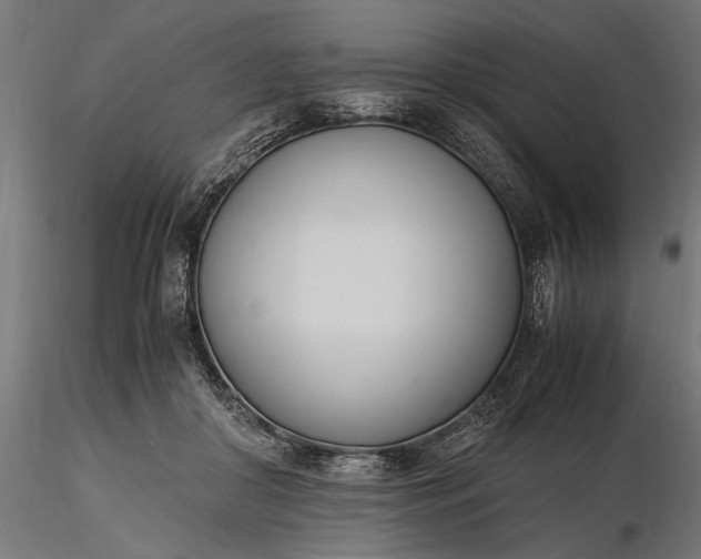 X0000116330410200912151310