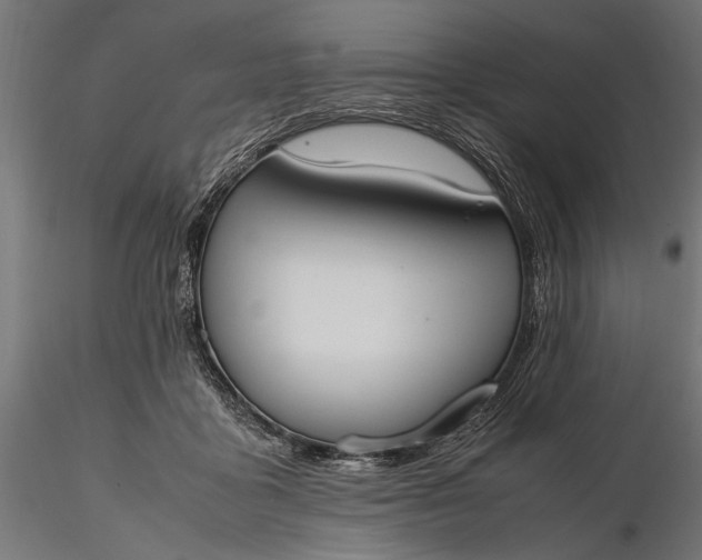 X0000116330411200912151310