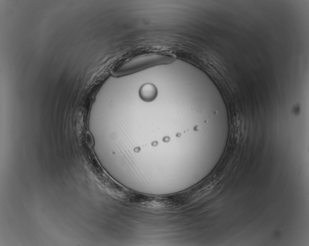 X0000116330412200912151310