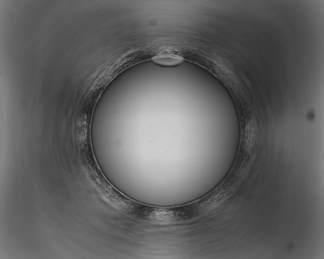 X0000116330413200912151310