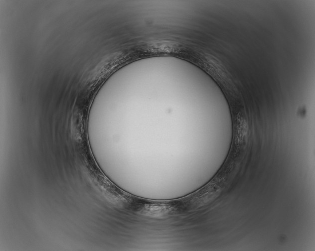 X0000116330414200912151310