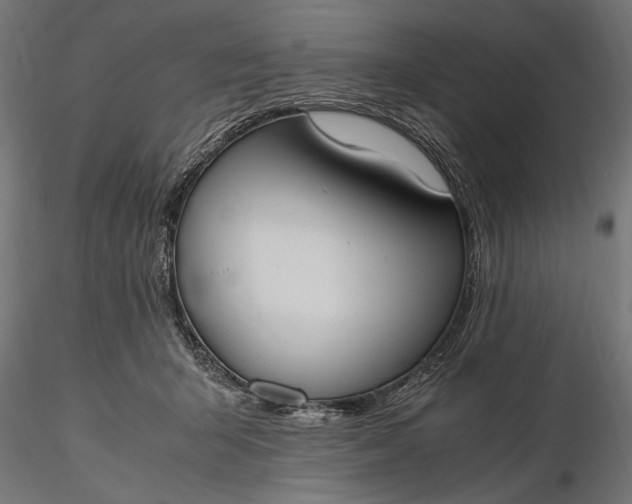 X0000116330415200912151310