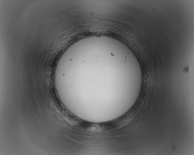 X0000116330416200912151310