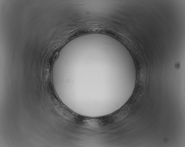 X0000116330417200912151309