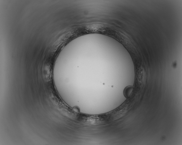 X0000116330420200912151309