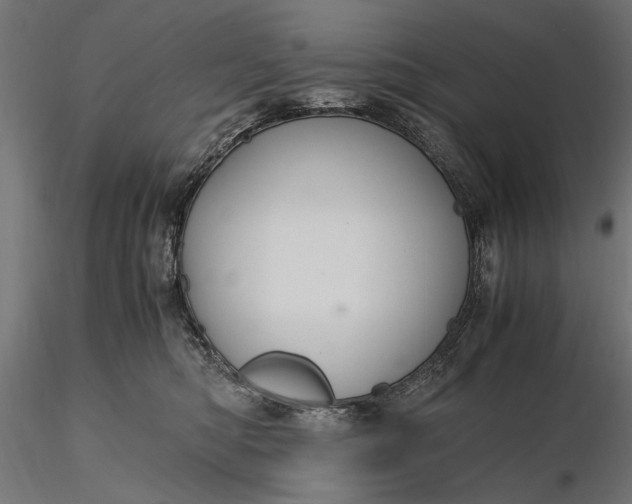 X0000116330422200912151309