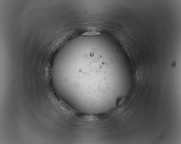 X0000116330424200912151309