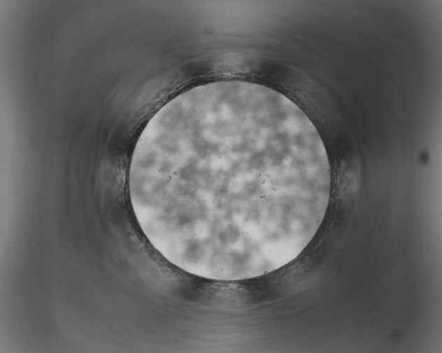 X0000116330427200912151309