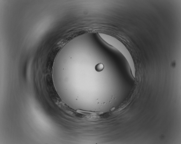 X0000116330429200912151309