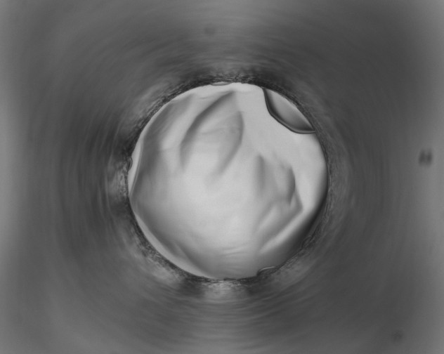 X0000116330432200912151309