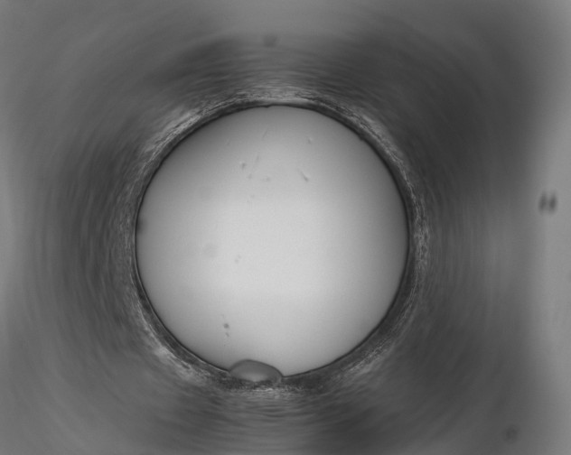 X0000116330433200912151308