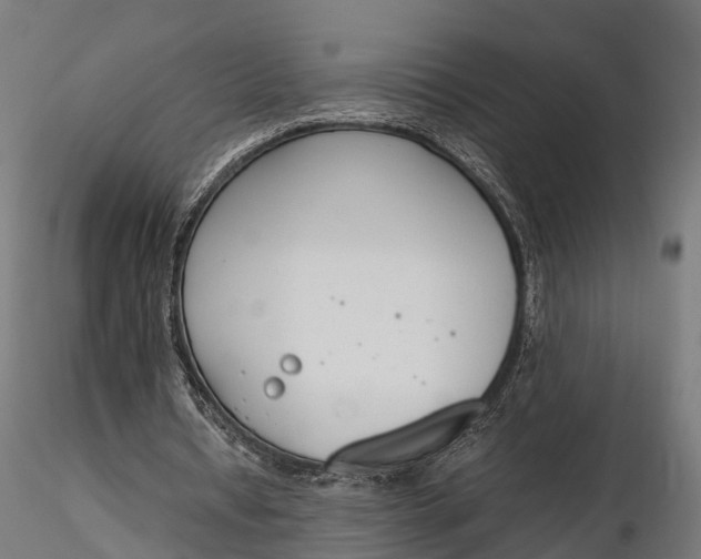 X0000116330434200912151308