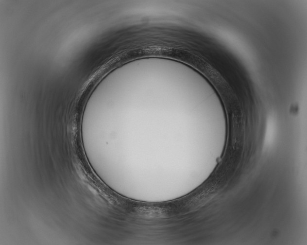 X0000116330435200912151308