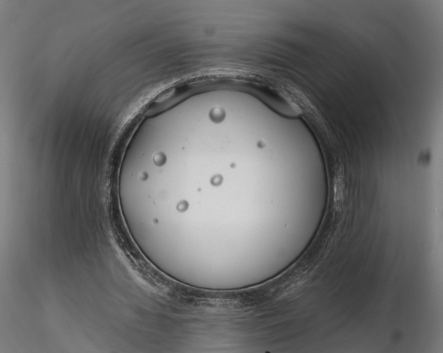 X0000116330436200912151309