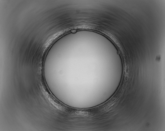 X0000116330437200912151309