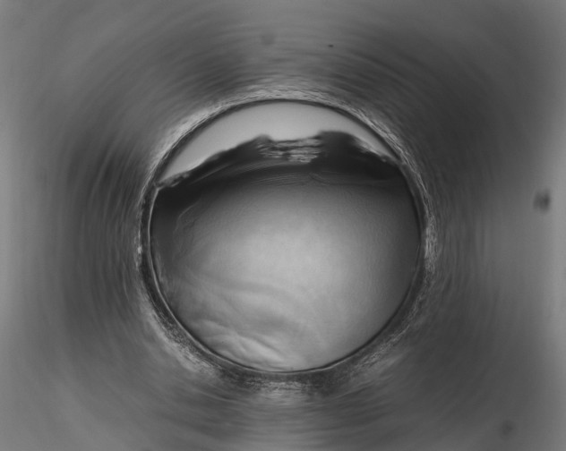 X0000116330438200912151309