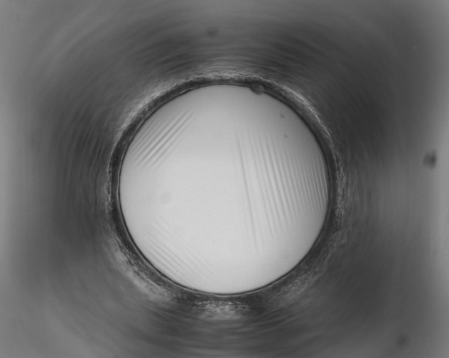 X0000116330439200912151309