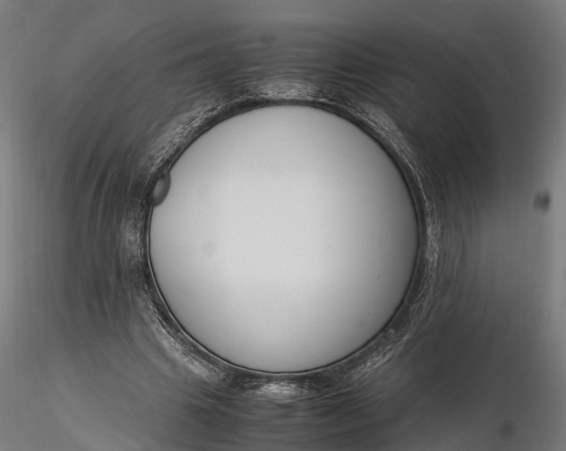 X0000116330441200912151309