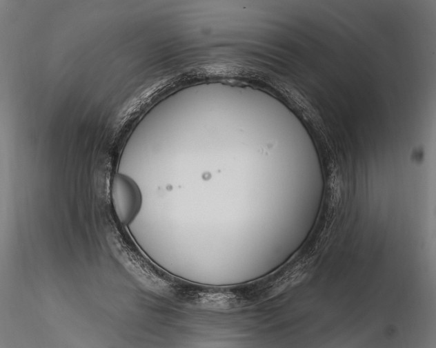 X0000116330446200912151309