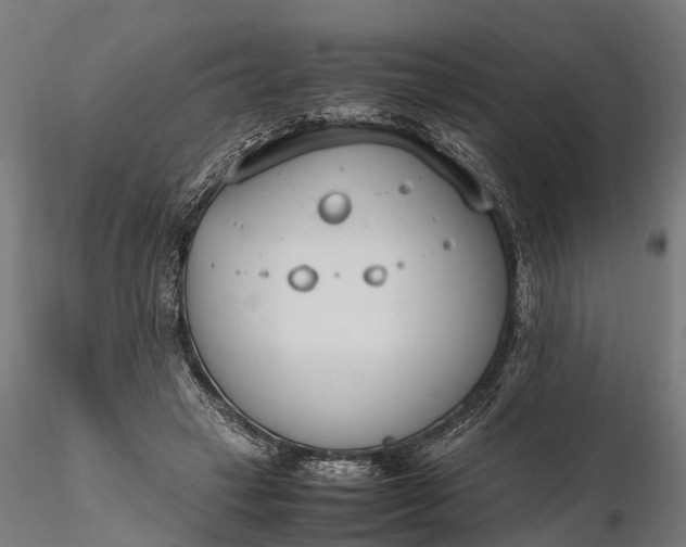 X0000116330449200912151309